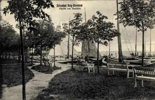 Ak Dziwnów Berg Dievenow in Pommern, Ostseebad, Partle am Bodden, Segelboote am Wasser, Bäume