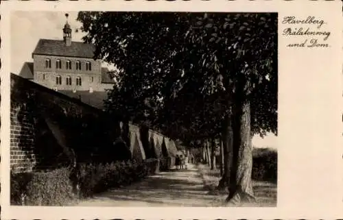 Ak Havelberg in Sachsen Anhalt,  Prälatenweg, Dom, Waldweg, s Gebäude, 
