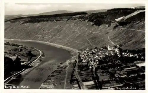 Ak Burg an der Mosel, Luftaufnahme von Burg, Mosel, Weinberge, Fluss, Dorf