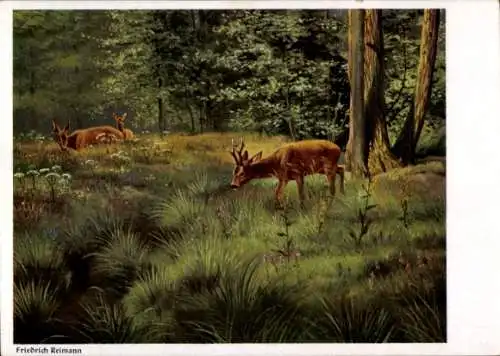 Künstler Ak Reimann, Friedrich, Rehe am Waldesrand
