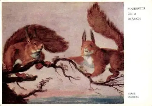 Künstler Ak Snyders, F., Zwei Eichhörnchen auf einem Ast