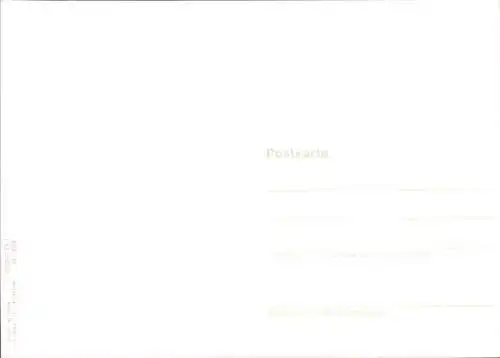 3-D Welpe, Kätzchen