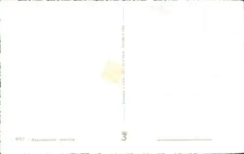 Ak Schwarzer Hund, Tierporträt