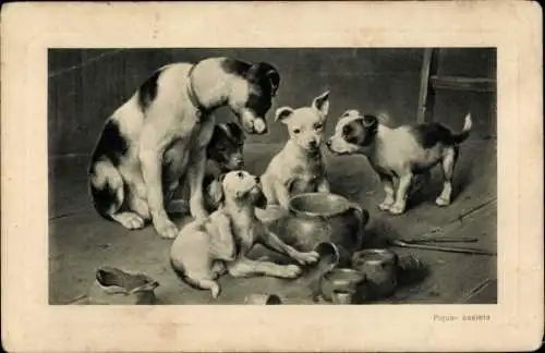 Künstler Ak Hunde, Welpen