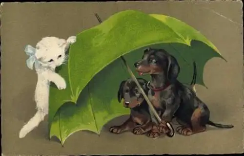 Künstler Ak Zwei Dackel unter einem Regenschirm, weiße Katze