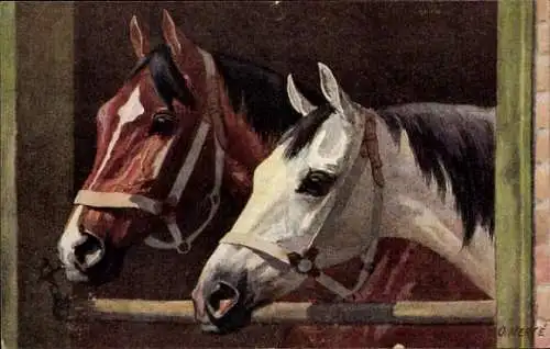 Künstler Ak Merte, O., Zwei Pferde, Portrait