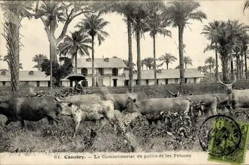 Ak Conakry Guinea, 60.  Polizeikommissariat, Gefängnisse, Kühe, Palmen