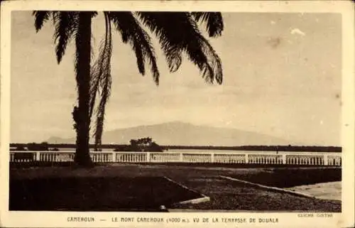 Ak Douala Duala Kamerun, Mont Cameroun, Terrasse von  Palmen, Landschaft, Schwarz-Weiß-Bild