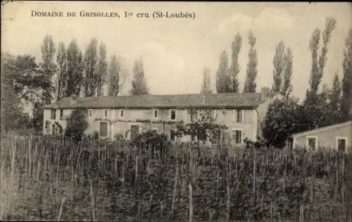 Ak Saint Loubès Gironde, Gebiet von Grisolle