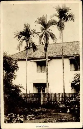 Ak Japan, Pinangboom