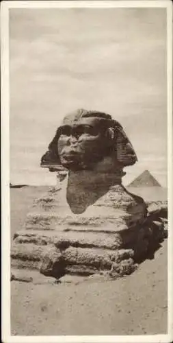 Ak Cairo Kairo Ägypten, Sphinx, Pyramide im Hintergrund, schwarz-weiß