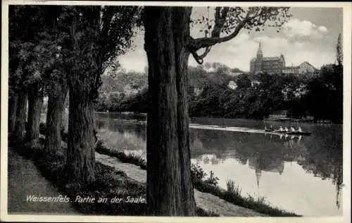 Ak Weißenfels an der Saale, Baumallee, Ruderboot