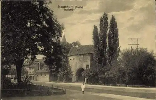 Ak Naumburg an der Saale,  Marientor,  Architektur, Bäume, Weg
