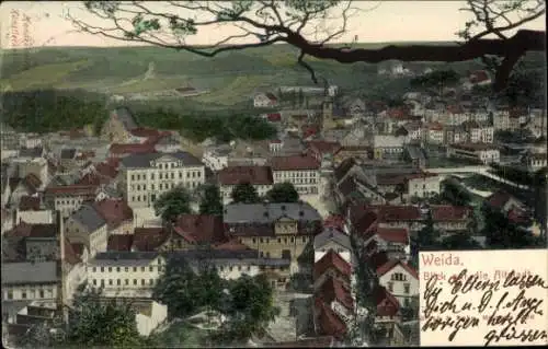 Ak Weida in Thüringen, Ansicht von  farbige Darstellung, Wohnhäuser, Stadtansicht, hohe Bäume
