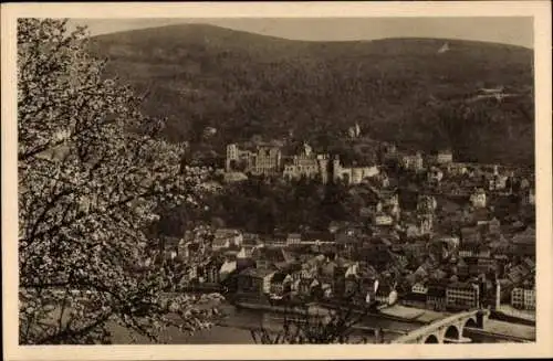 Ak Heidelberg am Neckar, Heidelberg im Blütenschmuck, Blick vom Philosophenweg,  Architektur
