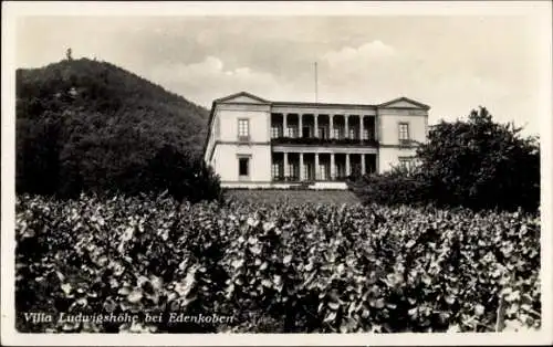 Ak Edenkoben an der Haardt Pfalz, Villa Ludwigshöhe