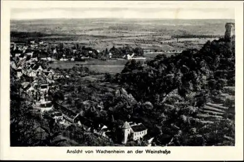 Ak Wachenheim an der Weinstraße Pfalz, Gesamtansicht