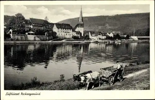 Ak Neckargemünd am Neckar, Schöne Landschaft, Flussansicht,  Gebäude, Kirche, Karren