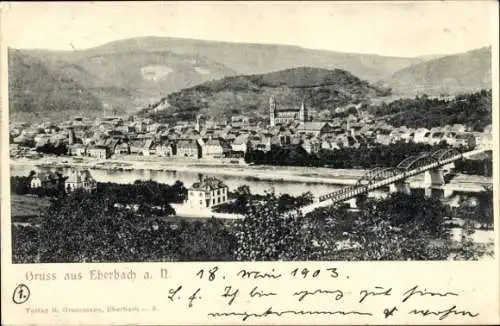 Ak Eberbach am Neckar Odenwald Baden, Panorama