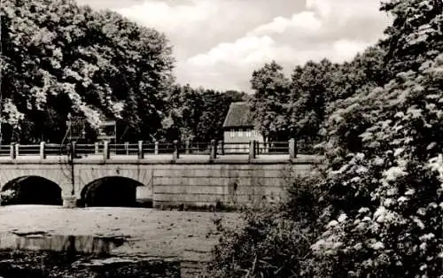 Ak Lütjensee in Holstein, Brücke zum Schloss, Schlossmühle im Hintergrund, Bäume, Fluss, Natur