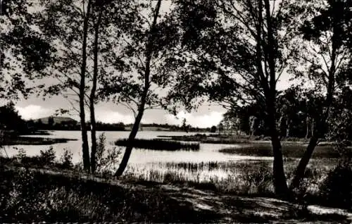 Ak Siek in Holstein, Schöne Landschaft, Bäumen, Wasserfläche, Wolken