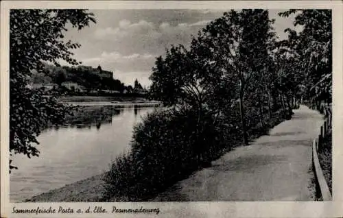 Ak Posta Pirna in Sachsen, Promenadenweg