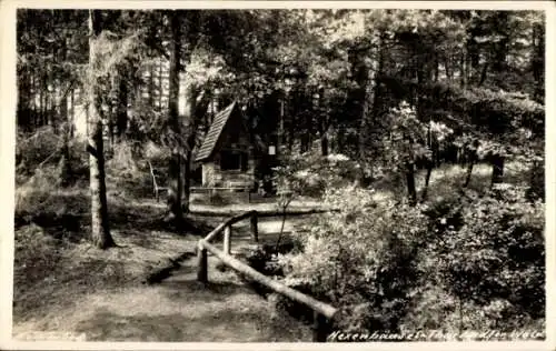 Ak Tharandt im Erzgebirge, Hexenhäusel, Wald