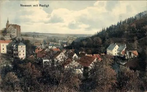 Ak Nossen in Sachsen, Panorama, Rodigt
