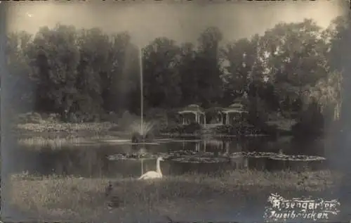 Ak Zweibrücken in der Pfalz, Rosengarten, Schwäne, Brunnen, Pavillon, idyllische Landschaft