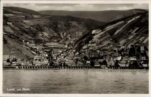 Ak Lorchhausen Lorch am Rhein Hessen, Panoramaansicht einer Stadt, Fluss im Vordergrund, Landscha