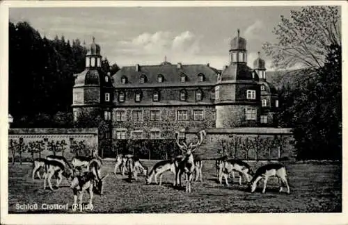 Ak Crottorf Friesenhagen im Rheinland, Schloss Crottorf, Krottorf, Wildpark, Hirsche