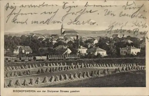 Ak Bischofswerda in Sachsen, Blick von der Stolpener Straße auf  Heimats Fest 1913