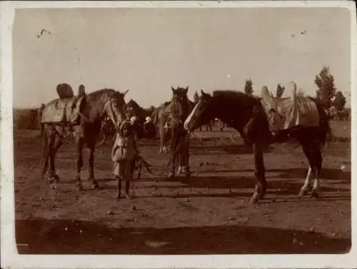 Foto Ak Afrika, Mädchen mit Pferden, Beduinen