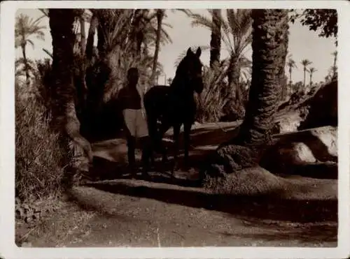 Foto Ak Marrakech Maroc, dans la Palmerie