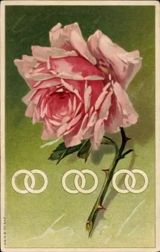 Künstler Litho Klein, Catharina, Rose