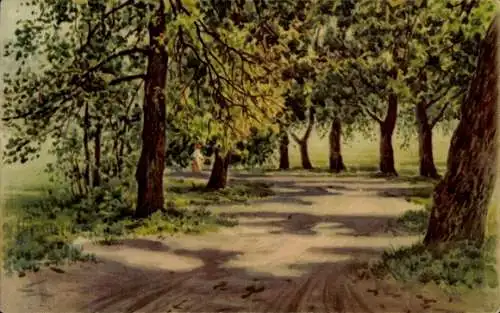 Ak Strasbourg Straßburg Elsass Bas Rhin, Motiv: Ein Weg führt durch einen lichten Wald. Bäume ...