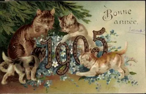 Ak Riom Puy de Dôme, Katzen und Hund mit Neujahrsgruß und Jahreszahl 1905
