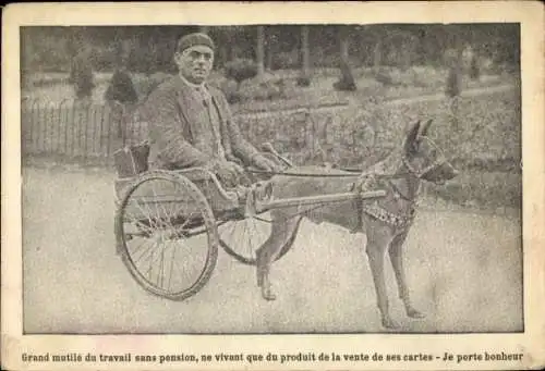 Ak Mann im Rollstuhl mit Hund, Arbeitshund
