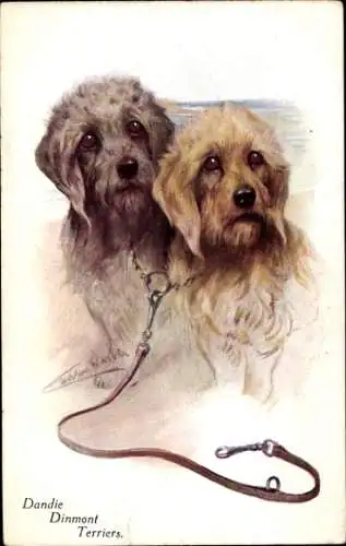 Künstler PC Dandie Dinmont Terrier