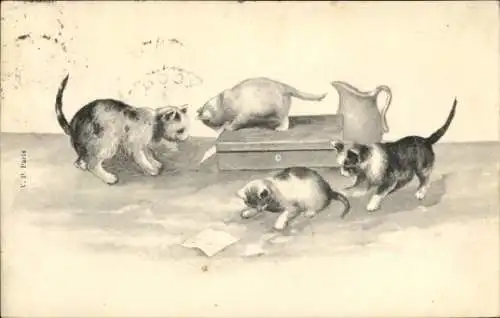 Ak Paris V, Jardin des Plantes, V. P.  Vier Katzen spielen mit einem Briefumschlag und einer V...