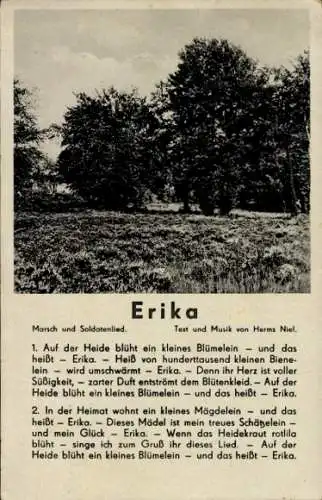 Ak Bad Fallingbostel Lüneburger Heide, Erika, ein Lied von Herms Niel. Auf der Heide blüht ein...