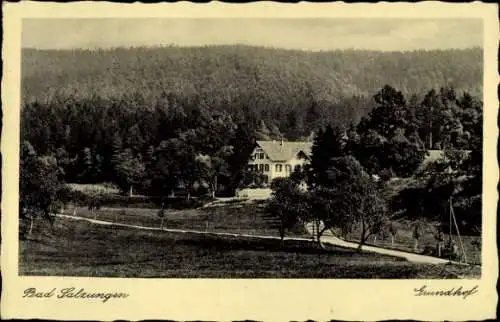 Ak Bad Salzungen Thüringen, Der Grundhof von Wald umgeben