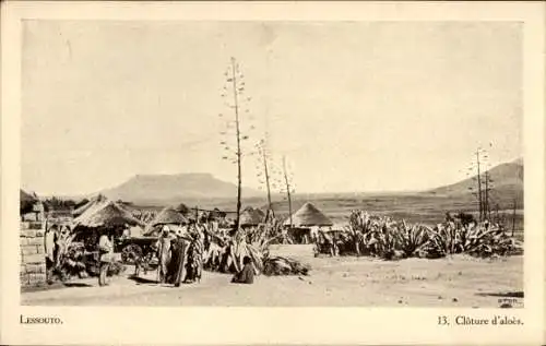 Ak Basutoland Lesotho, Landschaftsbild, Menschen, Aloepflanzen, Hütten