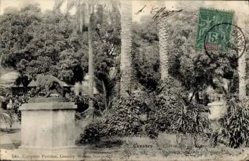 Ak Conakry Guinea, Löwenstatue, Palmen, tropische Vegetation, historische Postkarte
