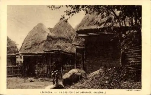 Ak Bamum Kamerun, Hütten mit Strohdächern, ländliche Szene, Kamerun