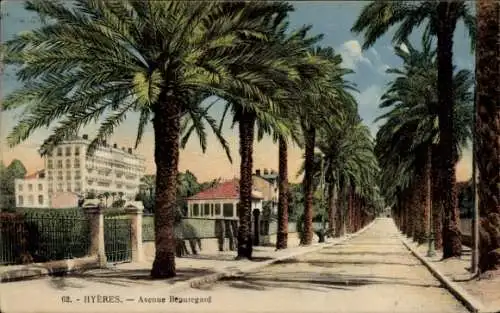 Ak Hyères les Palmiers Var, Avenue Beauregard