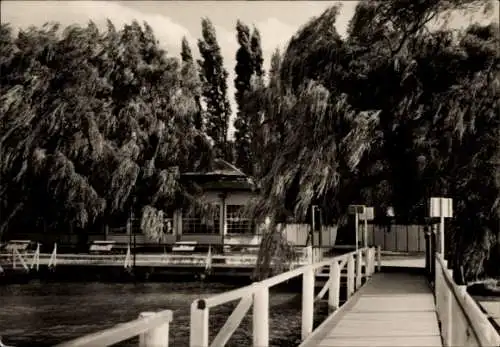 Ak Seeburg am süßen See Mansfelder Land, Schwimm-Bahnhof, Seeburg, Volksbad, Dock, kräftige Bäume