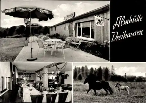 Ak Neheim Arnsberg im Hochsauerlandkreis, Almhütte Dreihausen, Pferde