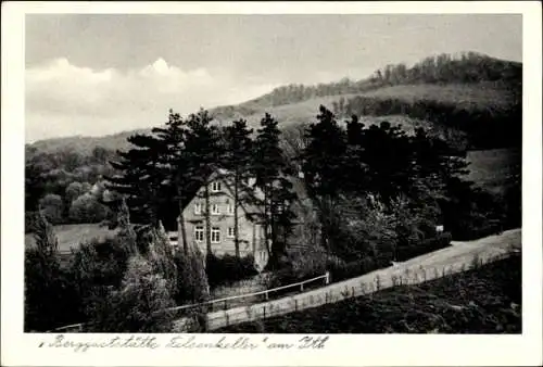 Ak Coppenbrügge Niedersachsen, Berggaststätte Felsenkeller, Landschaft mit Berg und Bäumen, Gebäu