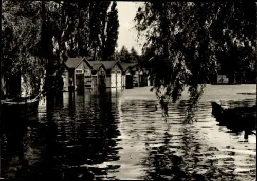 Ak Neubrandenburg in Mecklenburg, Bootshäuser am Oberbach, Wasserlandschaft, Bäume,  Architektur